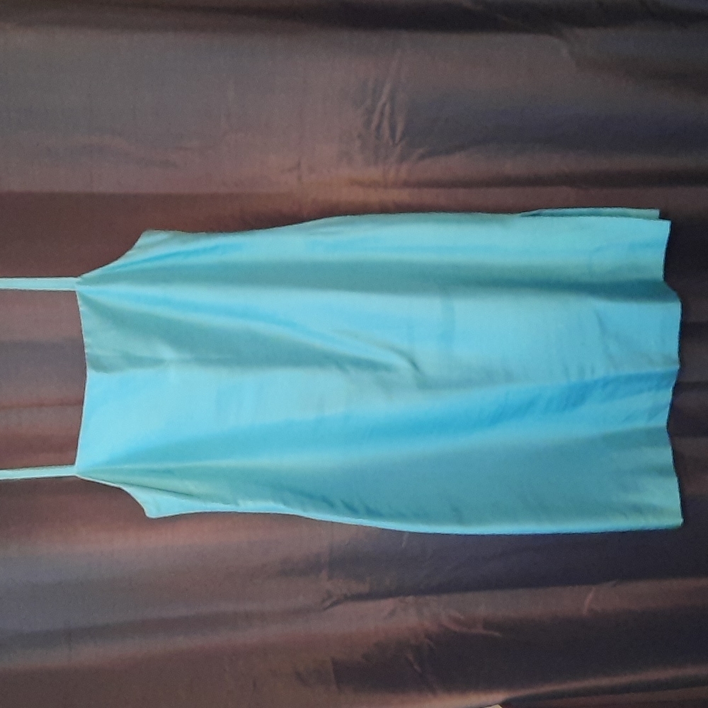 Raw Silk Shift
